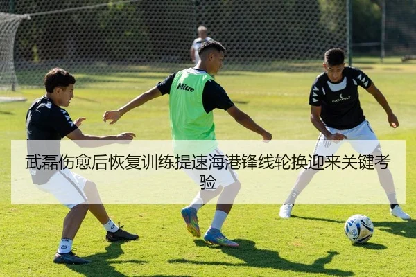 武磊伤愈后恢复训练提速海港锋线轮换迎来关键考验